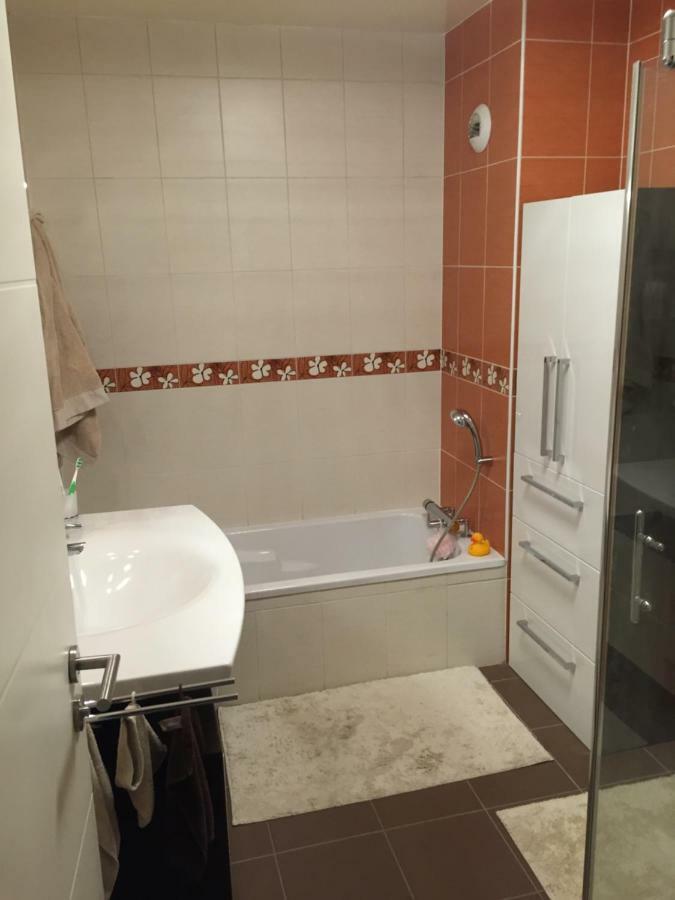 Appartement des trois frontières Apach Esterno foto